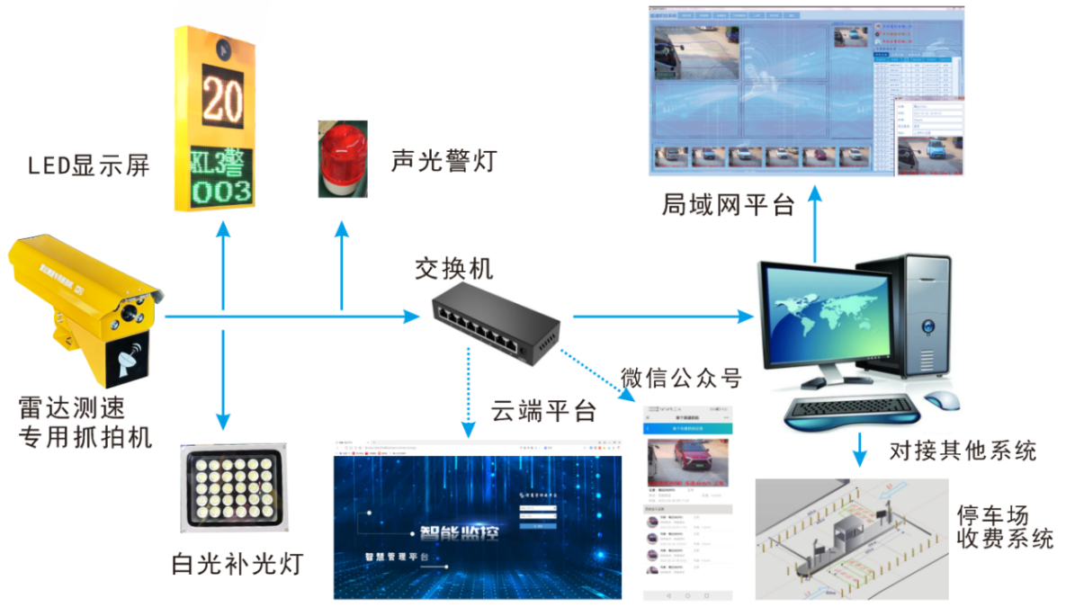 红足一1世皇冠