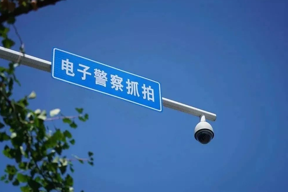红足一1世皇冠