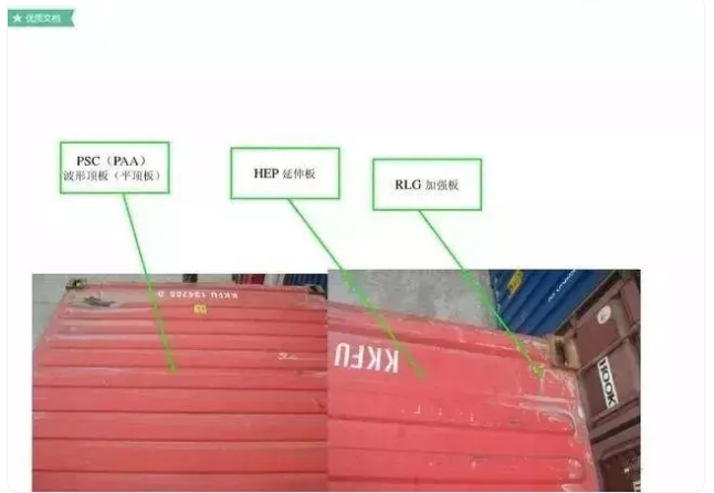 红足一1世皇冠