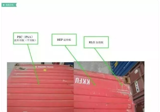 红足一1世皇冠