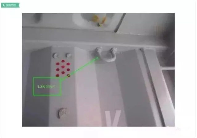 红足一1世皇冠