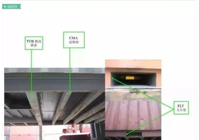 红足一1世皇冠
