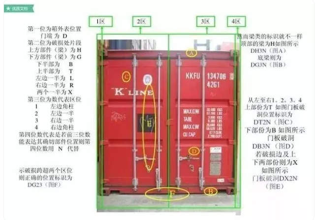 红足一1世皇冠