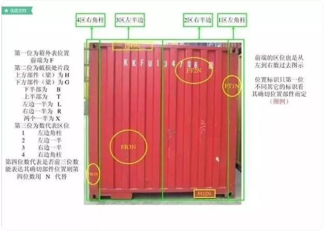 红足一1世皇冠