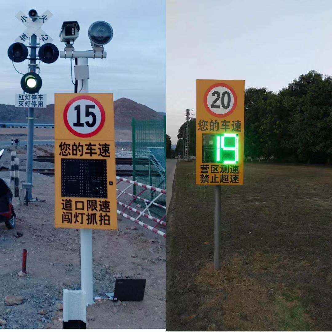 红足一1世皇冠