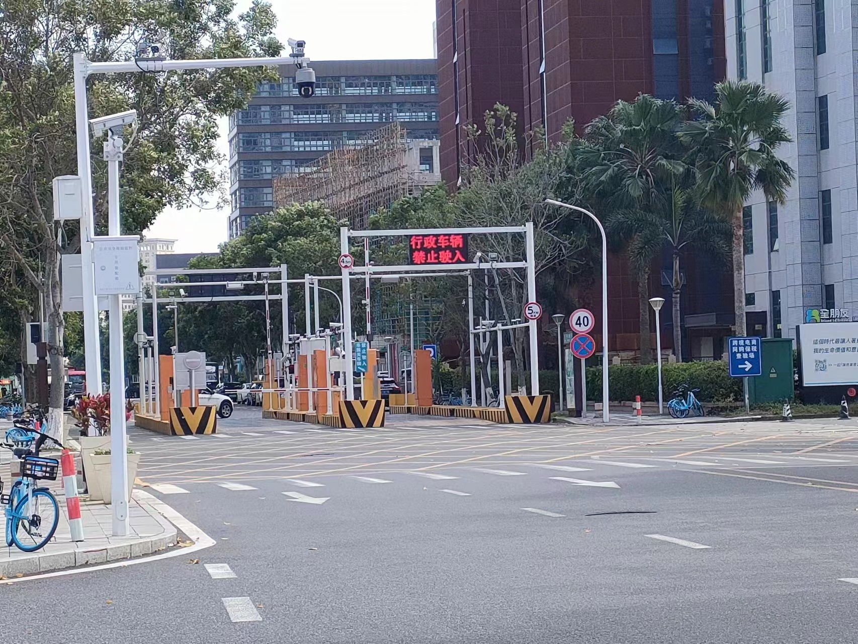 红足一1世皇冠