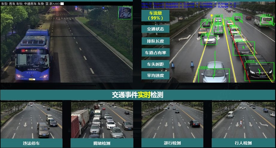 红足一1世皇冠