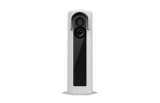 红足一1世皇冠