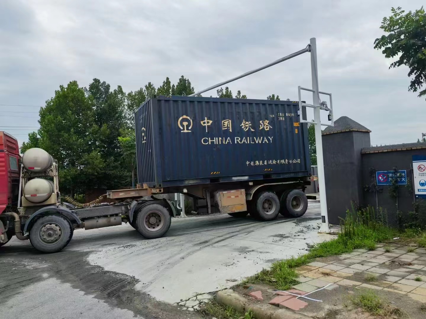 红足一1世皇冠