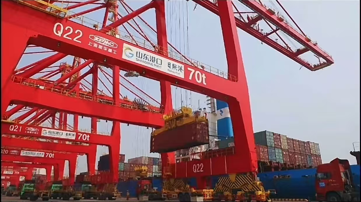红足一1世皇冠