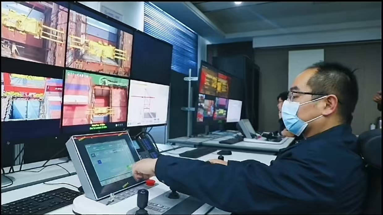 红足一1世皇冠