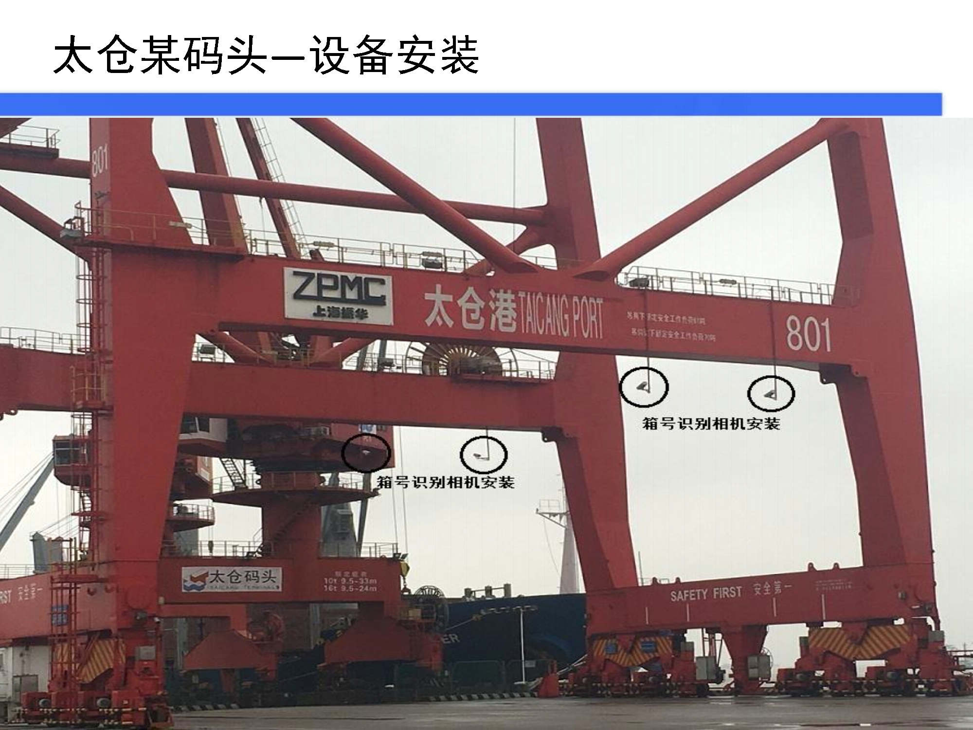 红足一1世皇冠