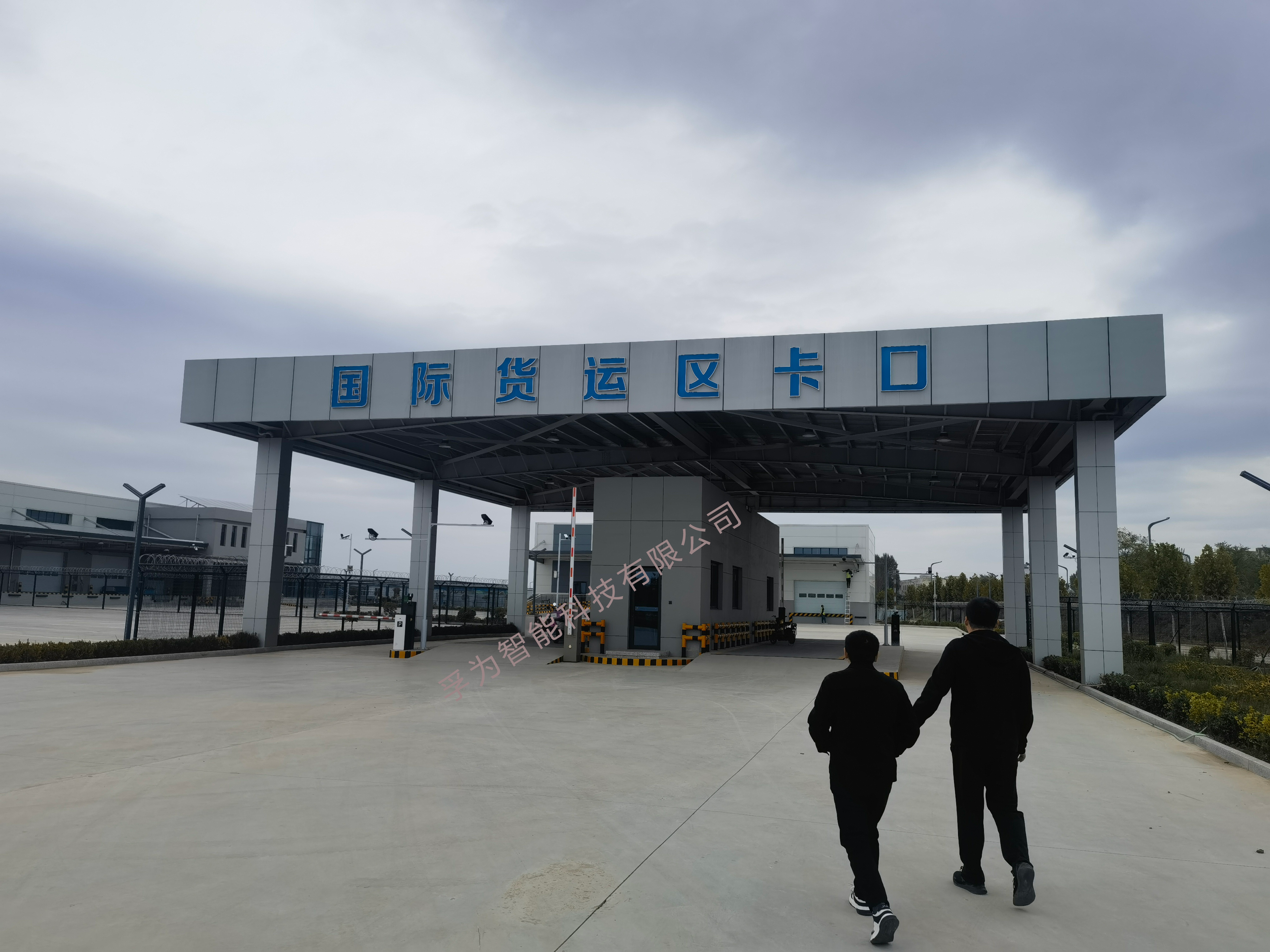 红足一1世皇冠
