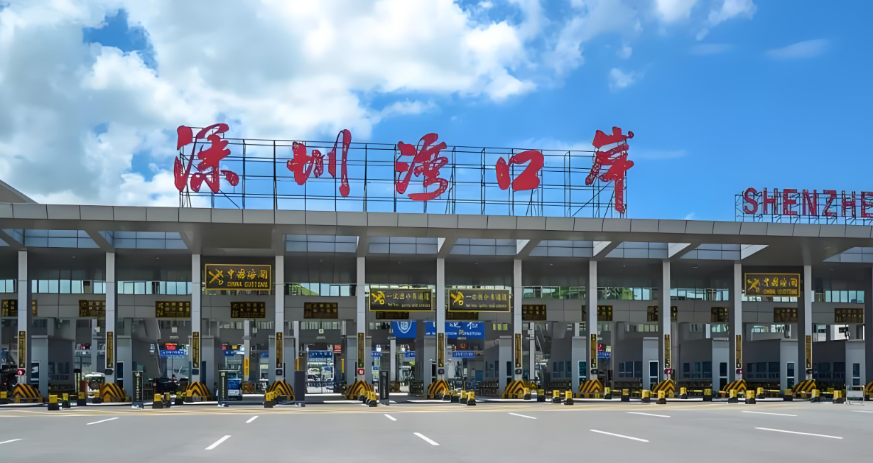 红足一1世皇冠