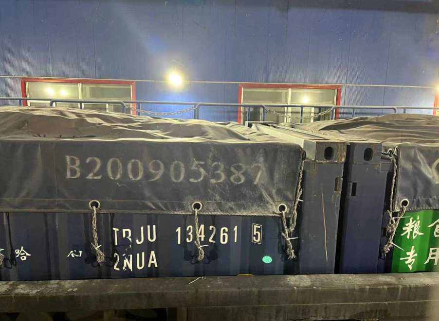 红足一1世皇冠