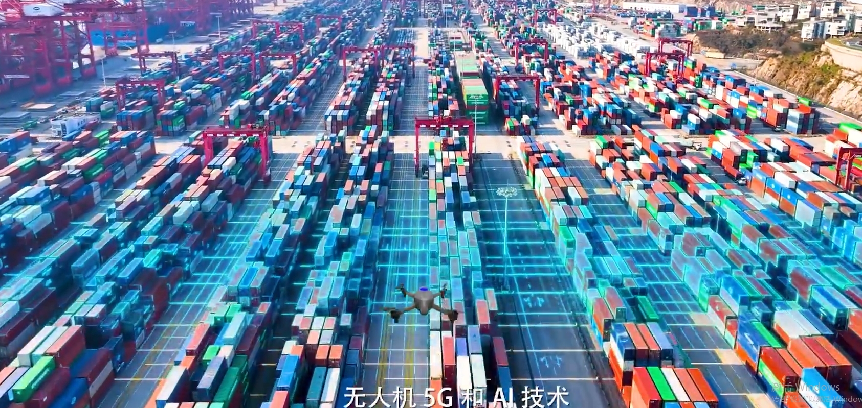 红足一1世皇冠